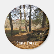 Picnic Time Fridge Magnet