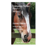 Picture of a Quarter Horse Business Card