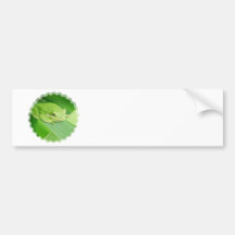 Picture of a Tree Frog Bumper Stickers