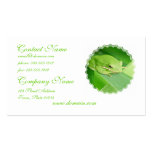 Picture of a Tree Frog Business Card