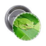 Picture of a Tree Frog Button