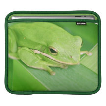 Picture of a Tree Frog iPad Sleeve
