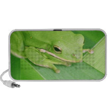 Picture of a Tree Frog Portable Speakers