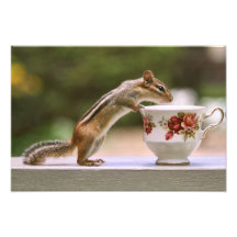 Picture of Chipmunk with China Teacup Art Photo