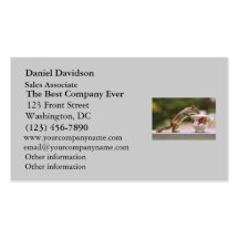 Picture of Chipmunk with China Teacup Business Card Templates