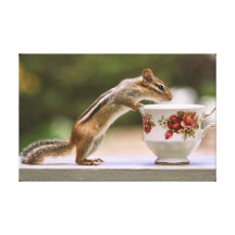 Picture of Chipmunk with China Teacup Canvas Prints