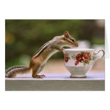 Picture of Chipmunk with China Teacup Greeting Card