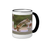 Picture of Chipmunk with China Teacup Coffee Mugs