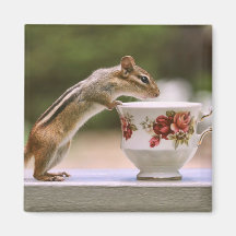 Picture of Chipmunk with China Teacup Fridge Magnet