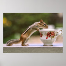 Picture of Chipmunk with China Teacup Print