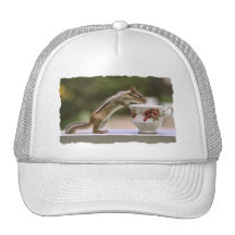 Picture of Chipmunk with China Teacup Trucker Hat