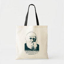 Picture of Darwin and mentions. Spanish. Bag