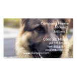 Picture of German Shepherd Business Card