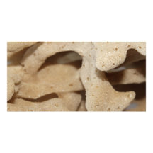 Picture of Sea Sponge. Customized Photo Card