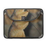 Pictures of Prairie Dogs 15" MacBook Sleeve Sleeve For MacBook Pro
