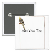 Pied Cockatiel on a Branch with White Pinback Buttons