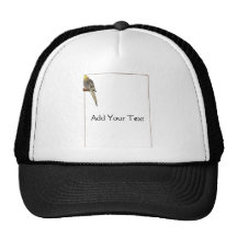 Pied Cockatiel on a Branch with White Hats