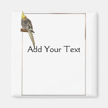 Pied Cockatiel on a Branch with White Refrigerator Magnets