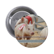 Pig racing pink piglet number three