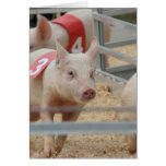 Pig racing pink piglet number three greeting card