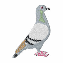 Pigeon Embroidered Jacket