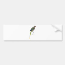 Pigeon Parrakeet by Edward Lear Bumper Stickers
