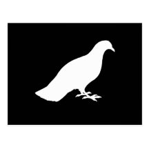 Pigeon Postcards