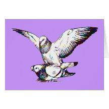 Pigeons Mating Cards