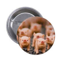 piggies pin