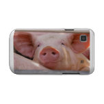 Animal Samsung Galaxy S Cases