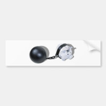 PiggyBankBallChain092110 Bumper Sticker