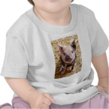 Piglet T Shirt