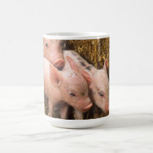 Piglets Coffee Mugs