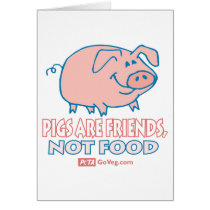 Pigs Are Friends Card cards