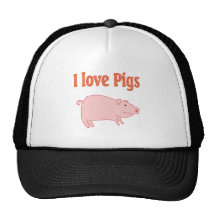 Pigs Hat