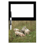 Pigs in a Field Memo Board Dry Erase Boards