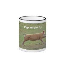 Pigs-might-fly mug