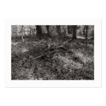 Pile of Sticks (Bordered) Business Card Templates