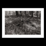 Pile of Sticks (Bordered) business cards