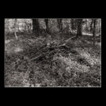 Pile of Sticks business cards
