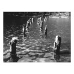 Piles in the water - Photo