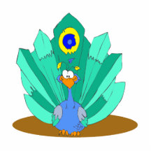 Pili Peacock Photo Sculpture