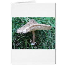 Pilz mit hübschem Hut Grußkarten