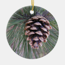 Pine Cone Ornament