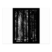 pine forest post cards