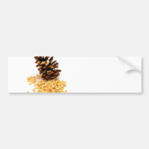 Pine Nuts Bumper Stickers