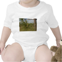 Pine Tree Baby Bodysuits