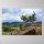 Pine Tree in Rocky Mountain National Park Print