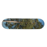 Pine Tree Skateboard Decks