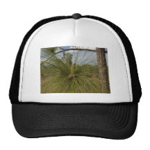Pine Tree Trucker Hats